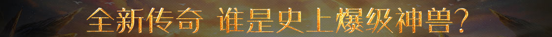 期货热点基金行